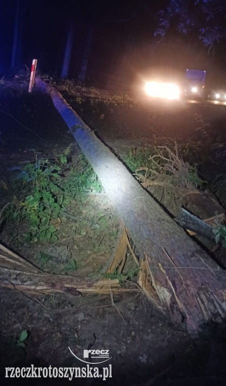 Nocny wypadek na trasie Krotoszyn - Sulmierzyce. Cudem przeżyli