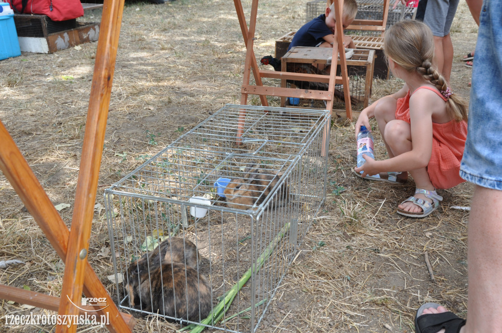 Benickie święto w środku lata