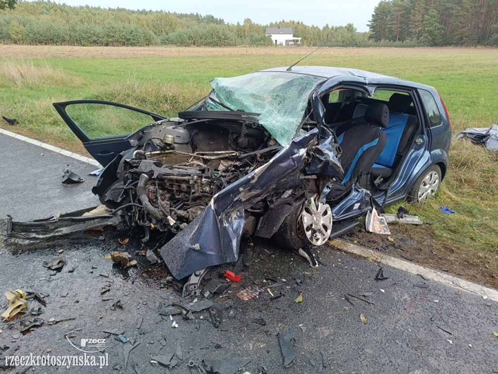 Czołówka na drodze krajowej nr 15 w pobliżu Dziadkowa