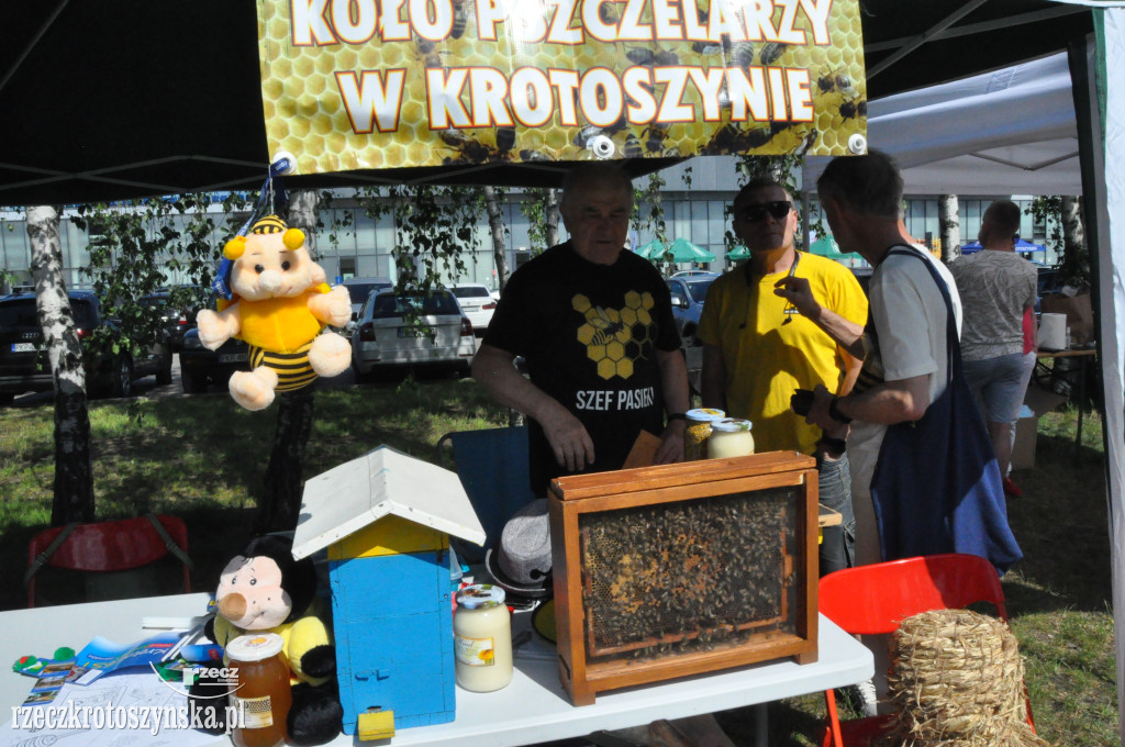 Krotoszyński Festiwal Aktywnych Sąsiadów cz.1