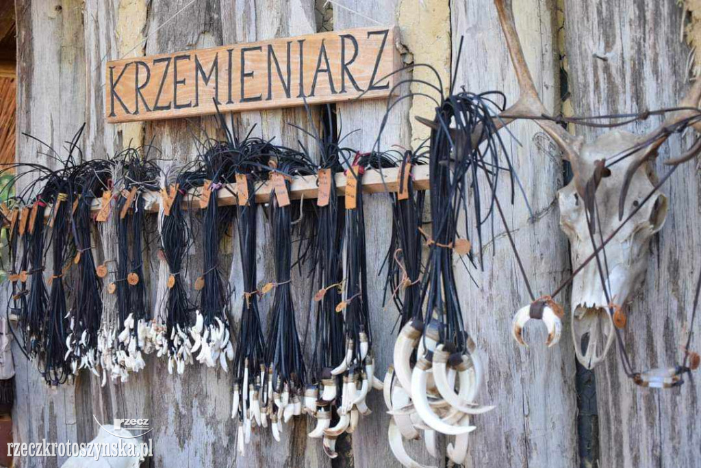 Wycieczka krotoszynian do Biskupina i Gniezna