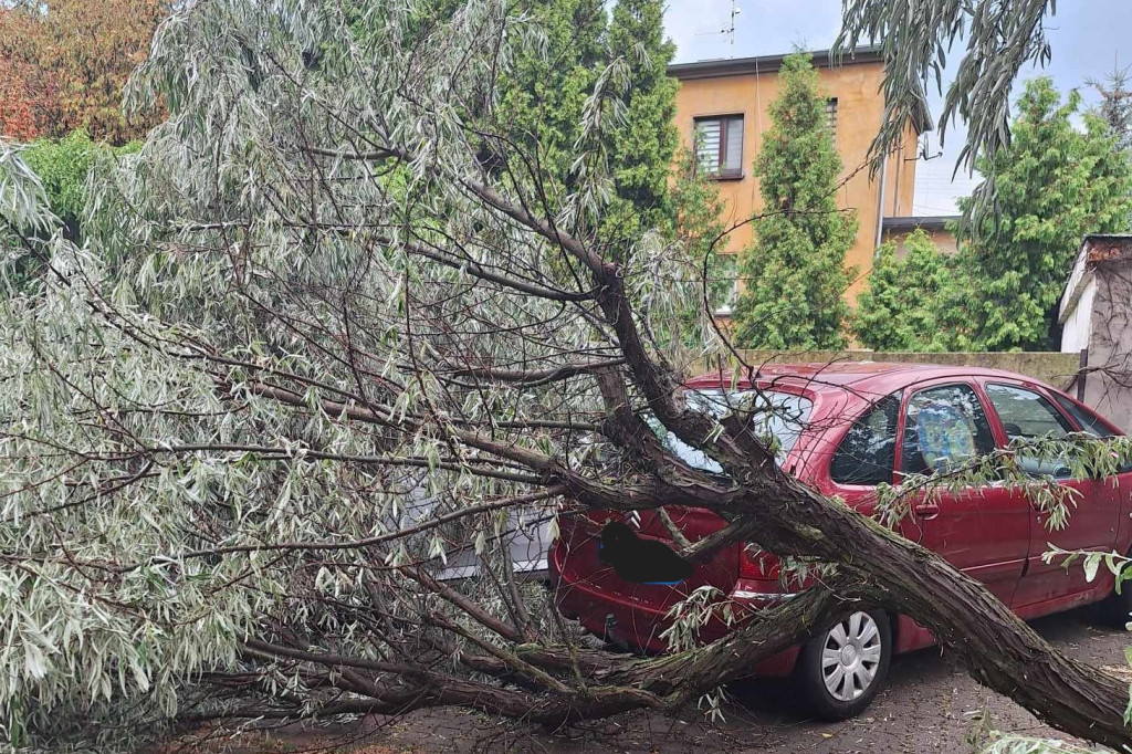 Nawałnica w Krotoszynie. Kilkanaście interwencji straży