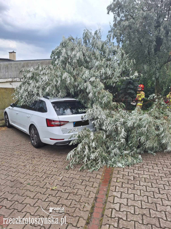 Nawałnica w Krotoszynie. Kilkanaście interwencji straży