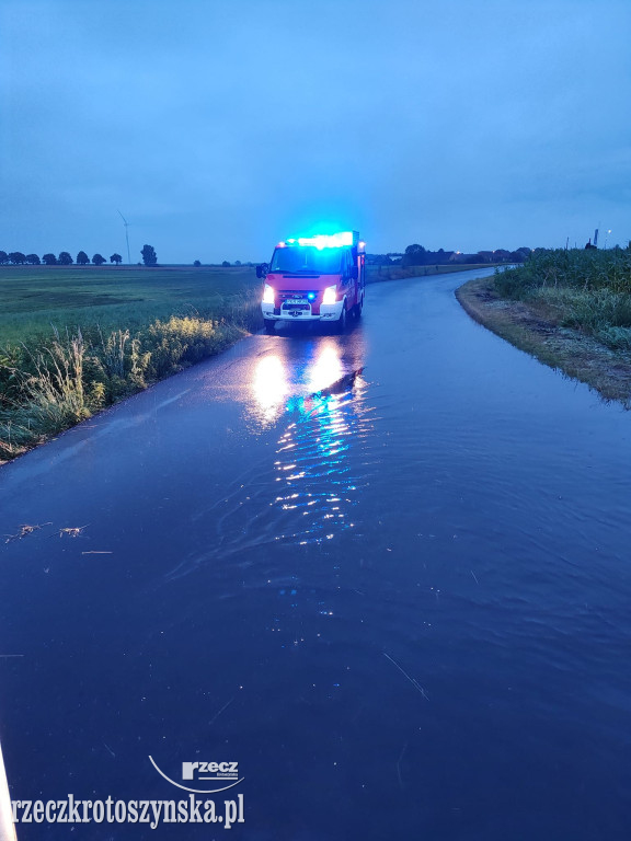 Nawałnica w Krotoszynie. Kilkanaście interwencji straży