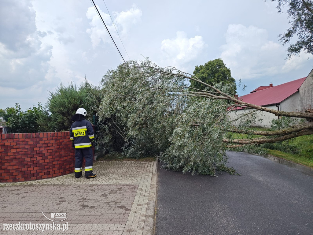 Nawałnica w Krotoszynie. Kilkanaście interwencji straży