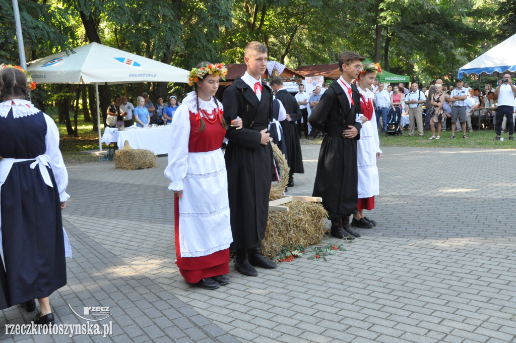 Dożynki powiatowe w Rozdrażewie