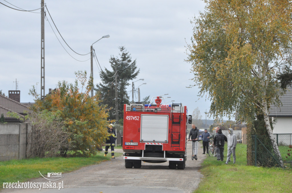 Pożar na Parcelkach. Kurniki stanęły w płomieniach