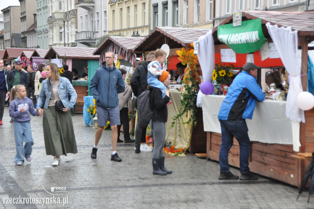 Powiat od kuchni. Festiwal gotowania na Rynku