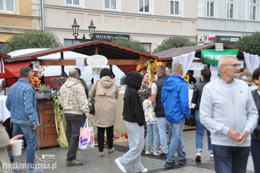 Powiat od kuchni. Festiwal gotowania na Rynku