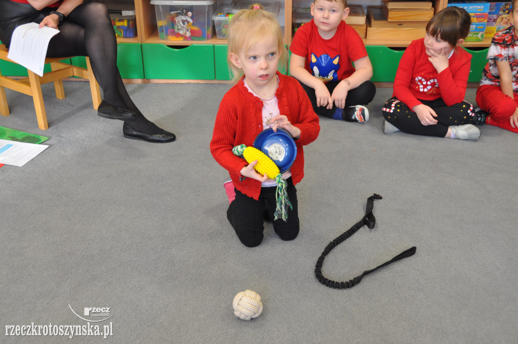 Kampania Dzieciństwo bez przemocy w Maciusiu