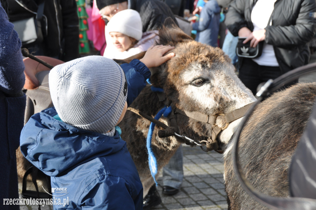 Jarmark świąteczny na krotoszyńskim Rynku