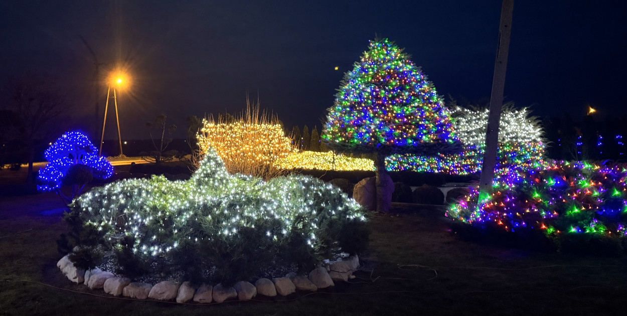 Niezwykłe i rekordowe oświetlenie posesji
