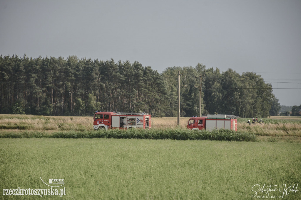 Płonęła trawa przy torowisku