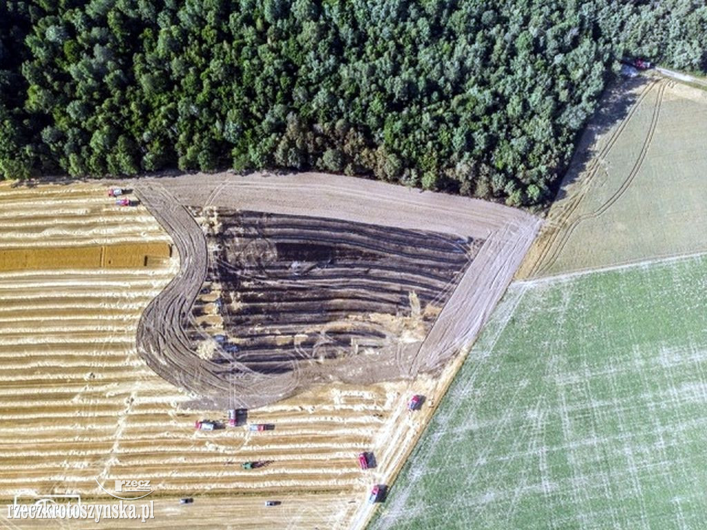 Pożar pola uprawnego pod Koźminem