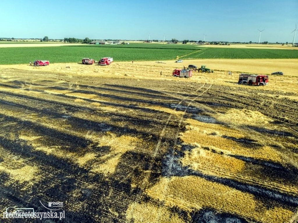 Pożar pola uprawnego pod Koźminem