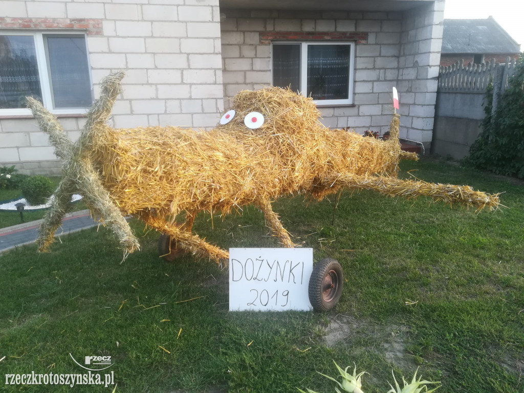 Dożynki wiejskie we Wrotkowie