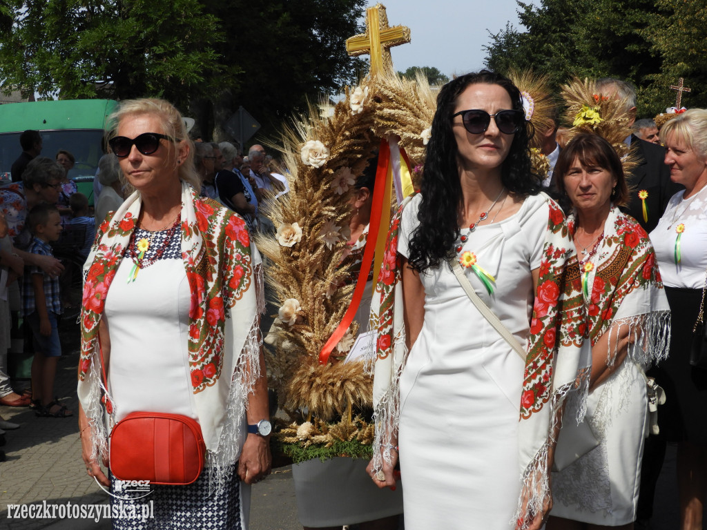 Dożynki powiatowe w Lutogniewie (2)