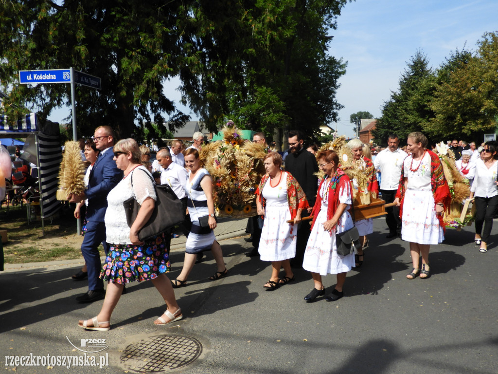 Dożynki powiatowe w Lutogniewie (2)