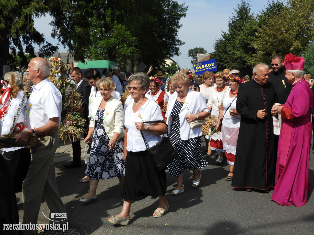 Dożynki powiatowe w Lutogniewie (2)