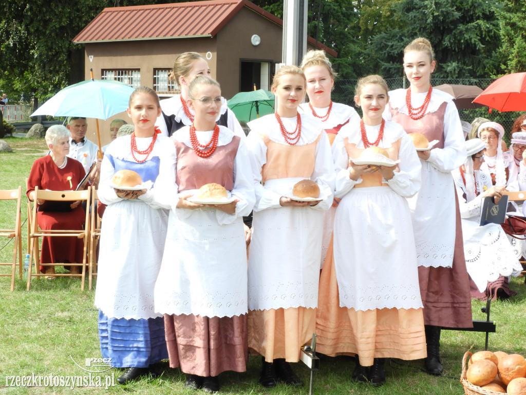 Dożynki powiatowe w Lutogniewie (2)