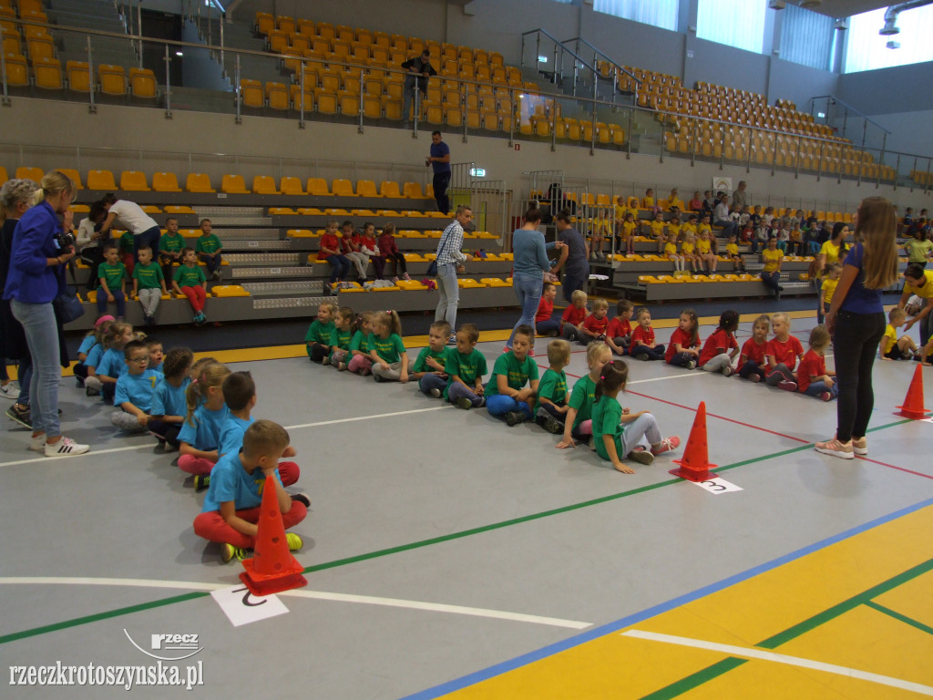 Zawody sportowe przedszkolaków