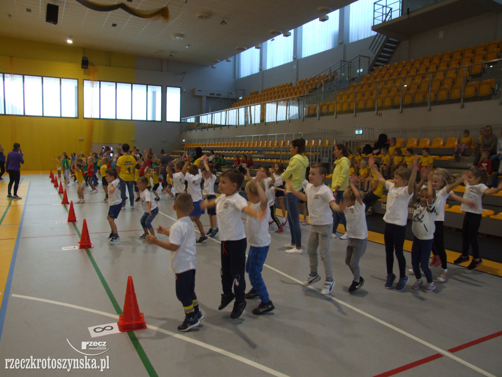 Zawody sportowe przedszkolaków