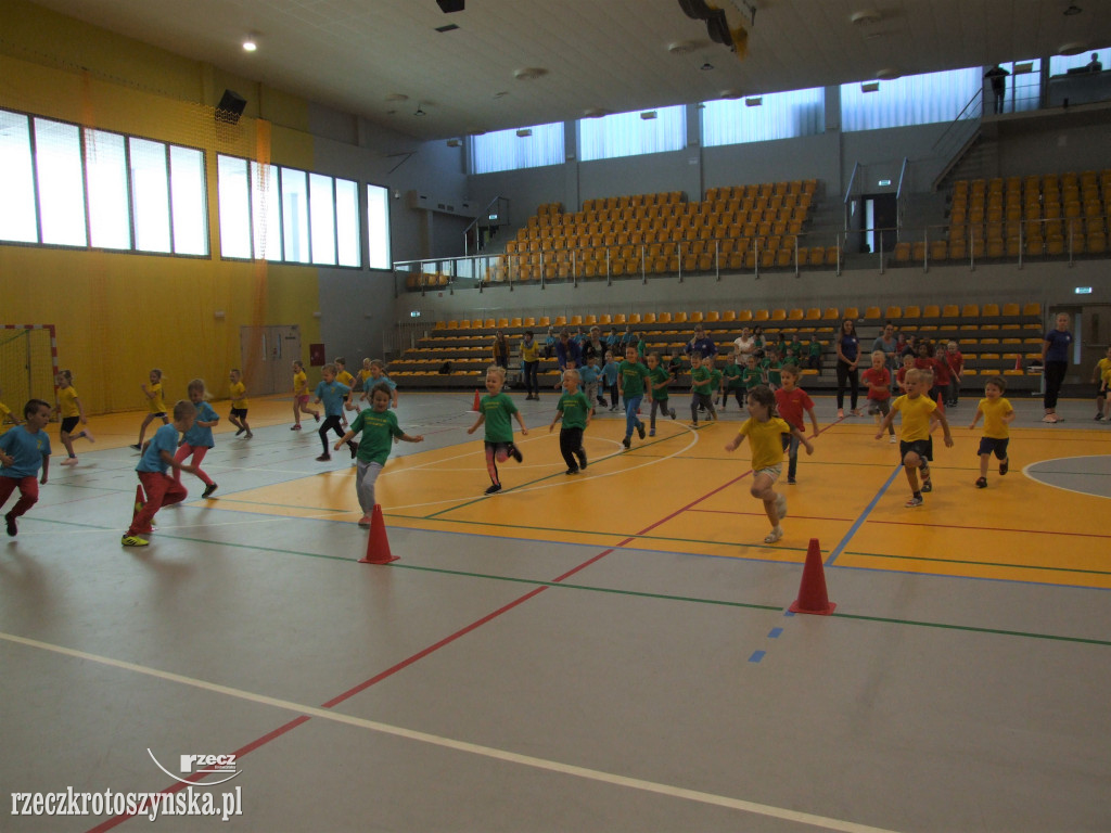 Zawody sportowe przedszkolaków