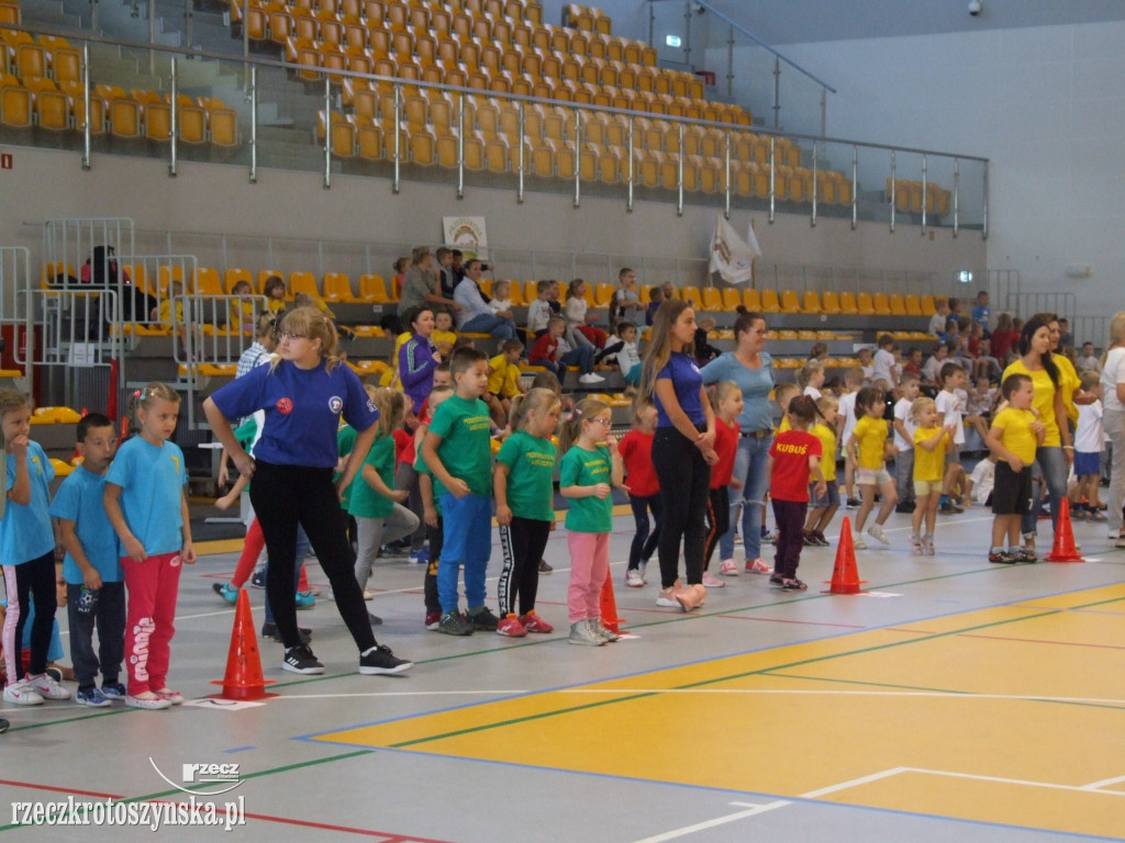 Zawody sportowe przedszkolaków