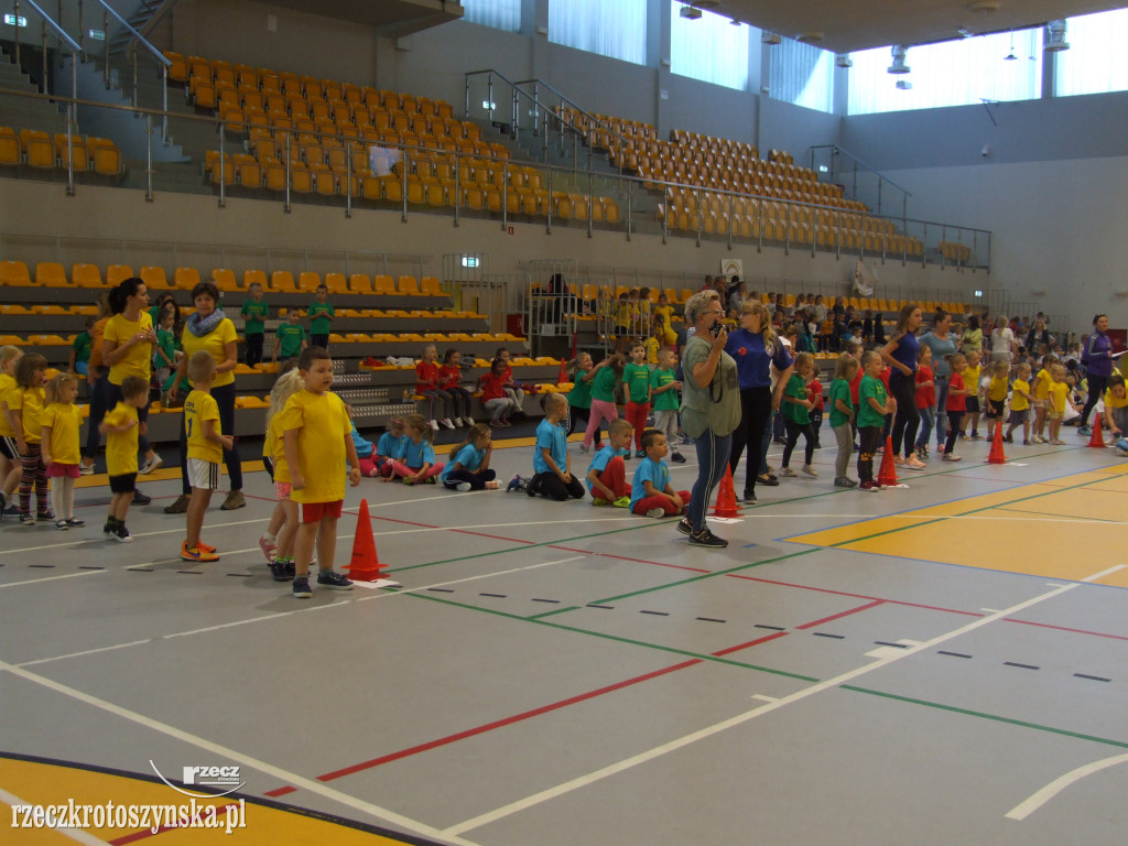 Zawody sportowe przedszkolaków