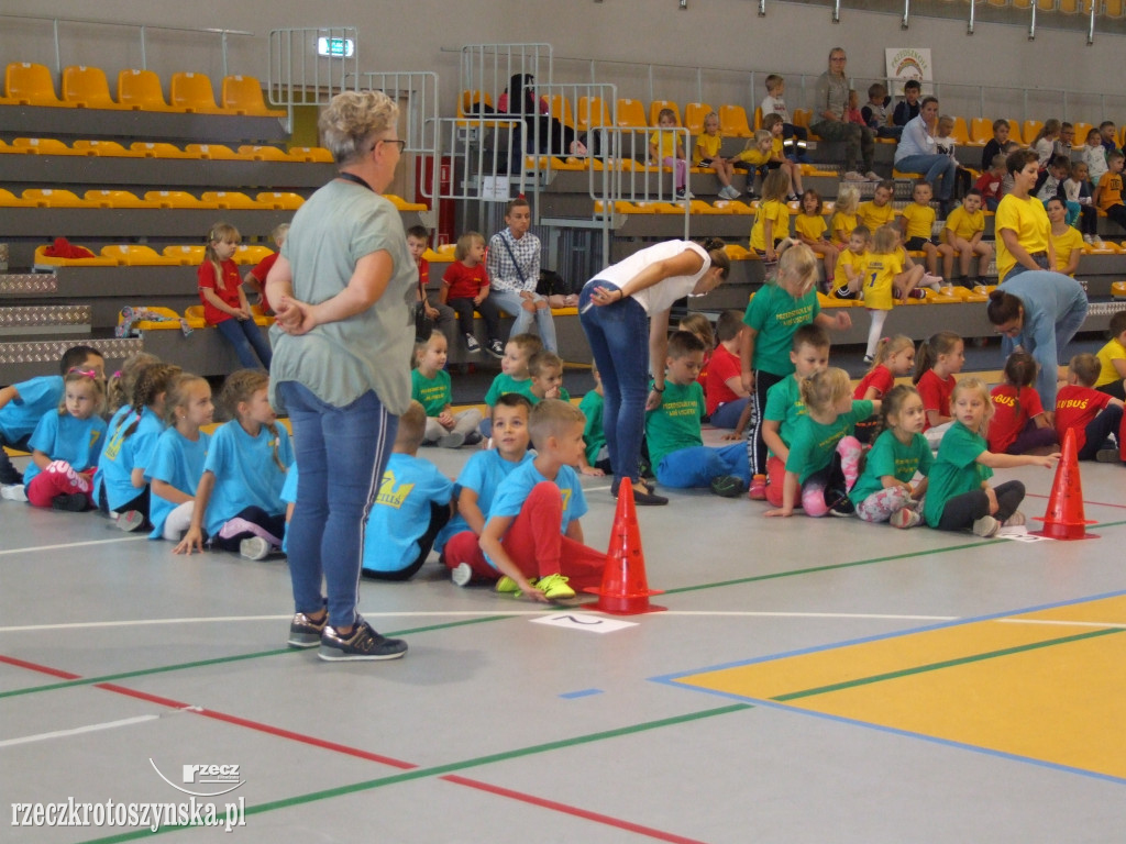 Zawody sportowe przedszkolaków