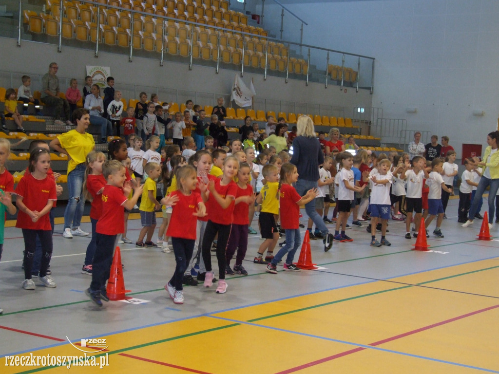 Zawody sportowe przedszkolaków