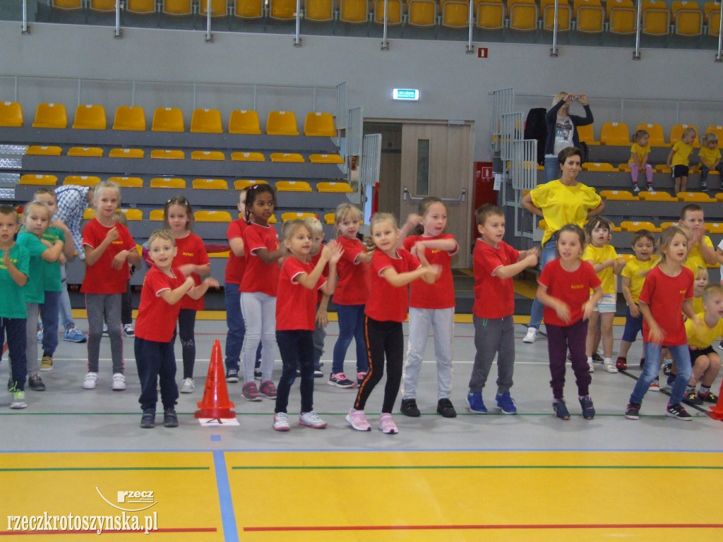 Zawody sportowe przedszkolaków