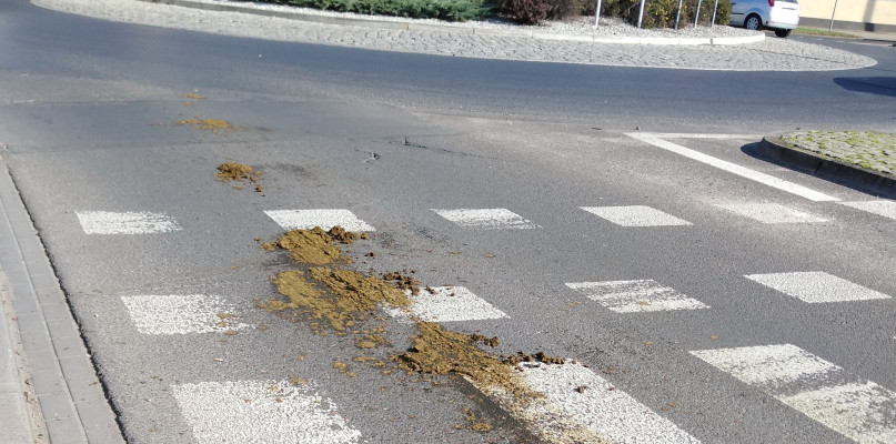 foto CZYTELNIK "RK"