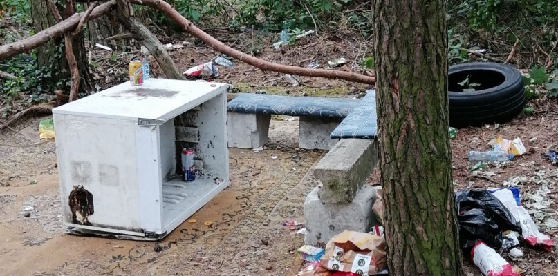 foto CZYTELNICZKA