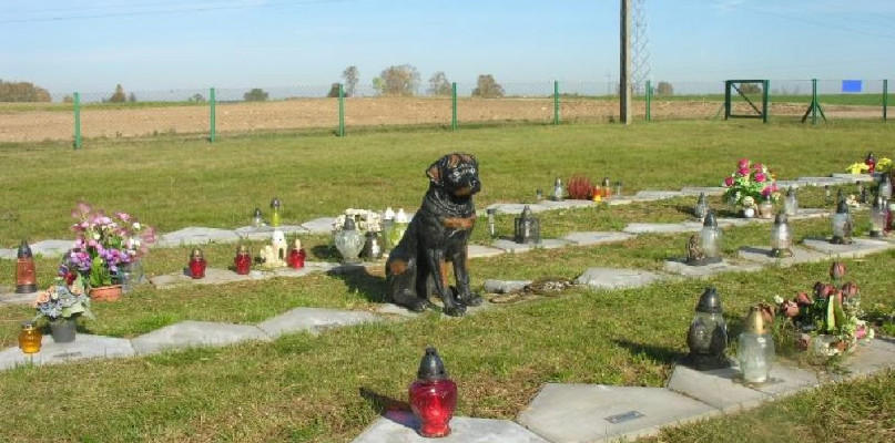 FOTO CMENTARZ-ZWIERZAT.PL 