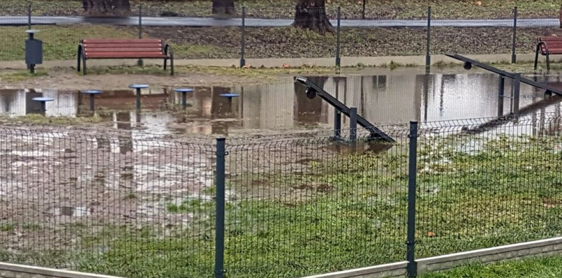 FOTO CZYTELNICZKA