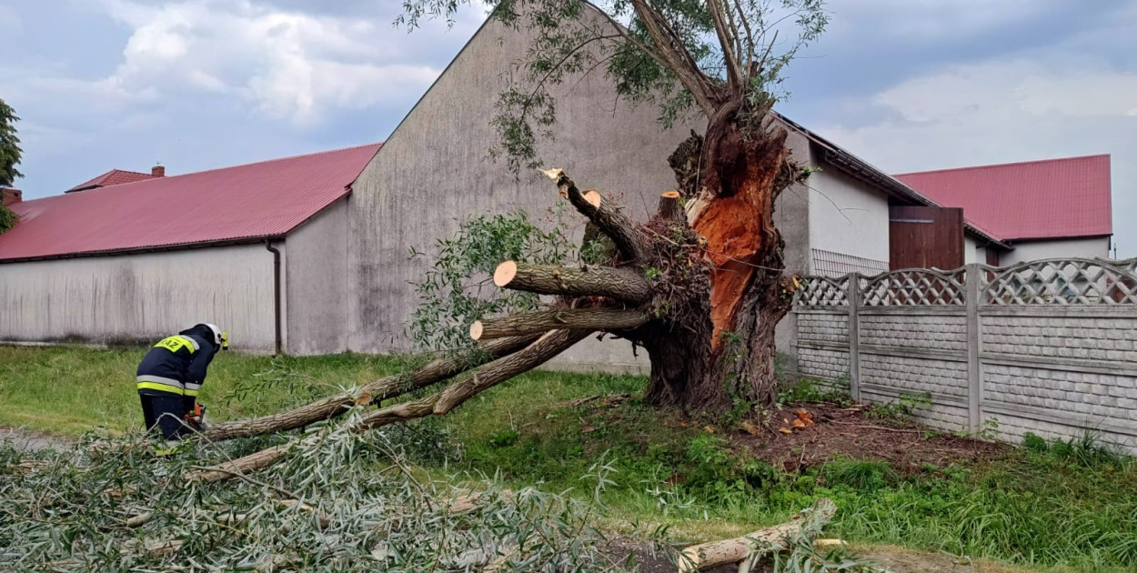 fot. JRG Krotoszyn, OSP Biadki, OSP Lutogniew 