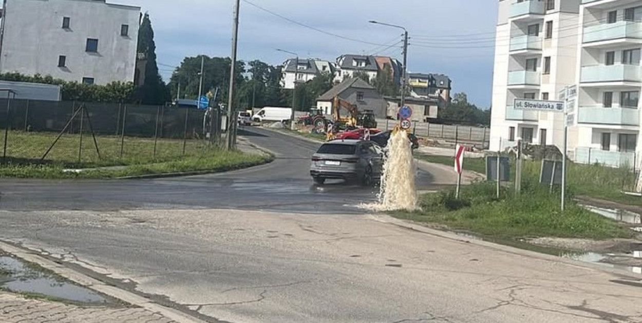 fot. CZYTELNICZKA