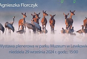 Wystawa plenerowa Agnieszki Florczyk "Dolina Magiczna" w Muzeum w Lewkowie-13663