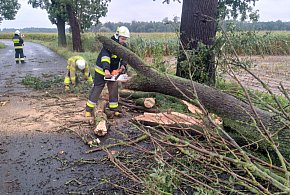 Sytuacja pogodowa w powiecie krotoszyńskim. Ile razy interweniowali strażacy?-13681