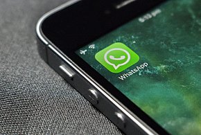 WhatsApp się zmienia. Czy aplikacja będzie płatna?-16657