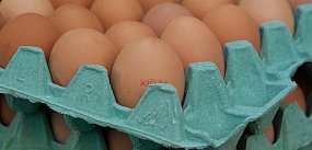 Salmonella na jajach znanej marki. Nie jedz!
