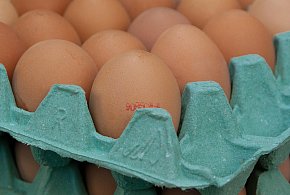 Salmonella na jajach znanej marki. Nie jedz, jeśli masz je w lodówce!-16774