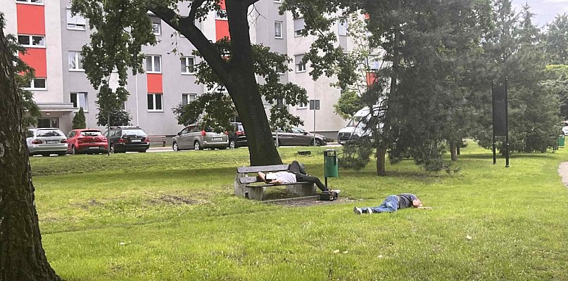 Libacje w parku przy dworcu. Nieraz leży taki pijak pół dnia i się nie rusza - 17237
