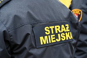 Zapuka strażnik, zapłacisz karę. Ruszyły kontrole w całej Polsce-17799
