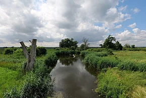 Co dalej z nowym parkiem narodowym? Minister klimatu zdradza plan po wecie-18064