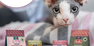 Najlepsze Karmy dla Kotów w Dino: Którą Wybrać? Ranking i Opinie [2026]