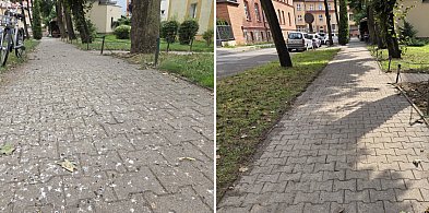 Co dalej z plagą ptasich kup na Fabrycznej?-17493