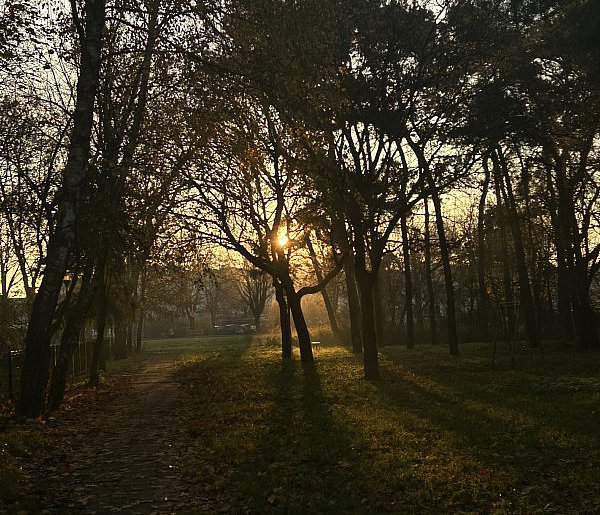 Nadchodzi najkrótszy dzień w 2025 roku. Sprawdź, kiedy przypadnie-18477