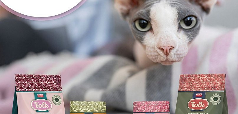 Najlepsze Karmy dla Kotów w Dino: Którą Wybrać? Ranking i Opinie [2026]